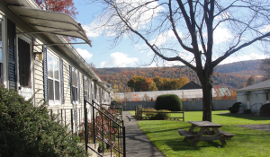 About Beech Tree Apartments; Berkshire Apartments in Great Barrington, MA